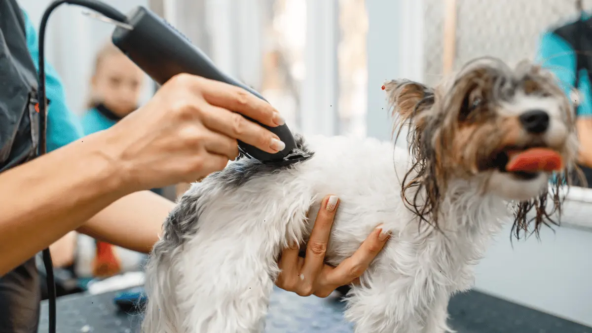 Right Dog Hair Clipper Machine