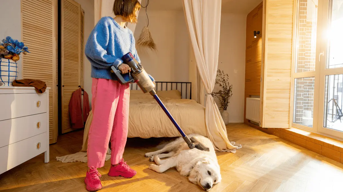 Best Vacuums for Dog Hair