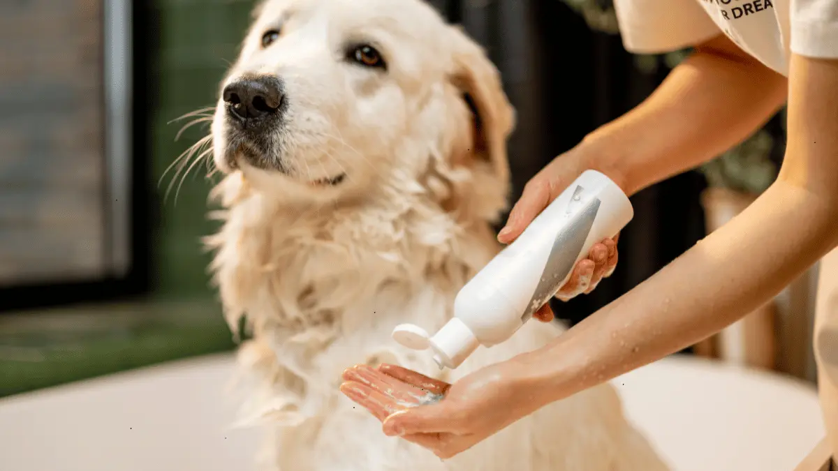 Wahl Dog Shampoo Recall