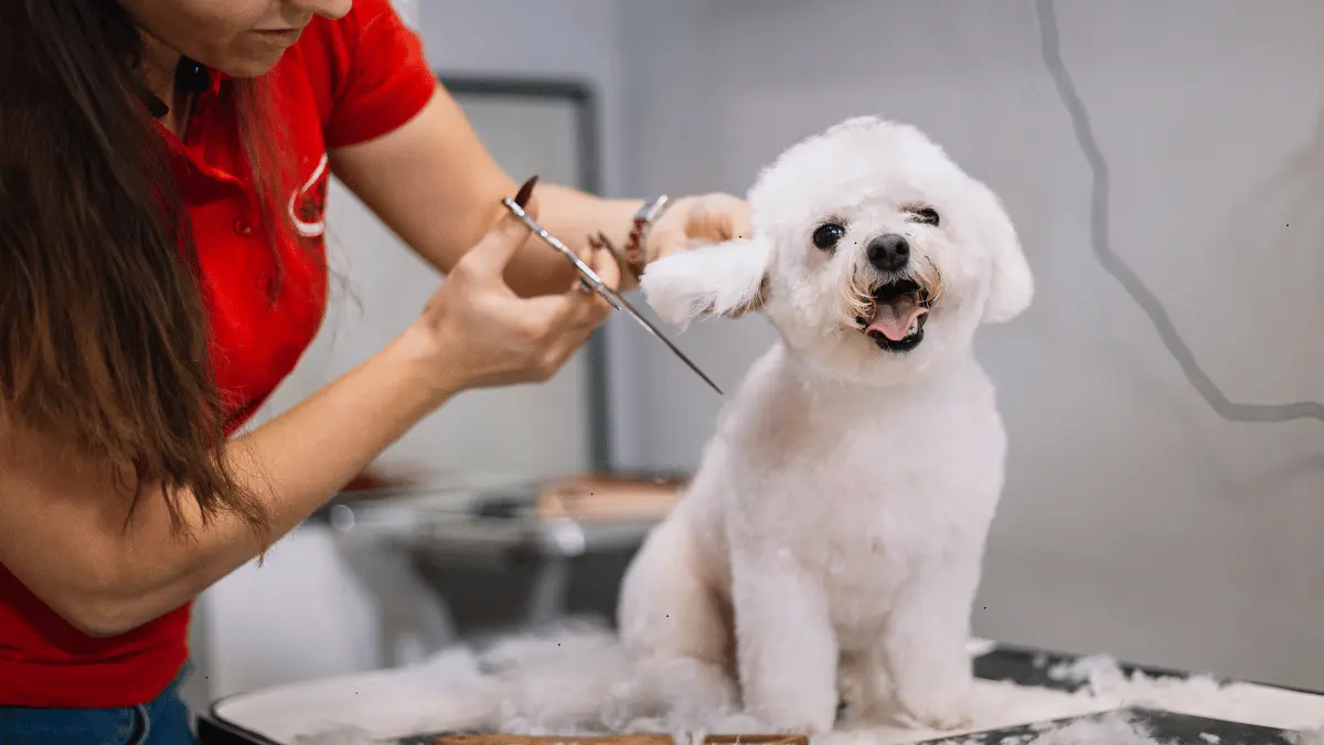 Dog Grooming Tips