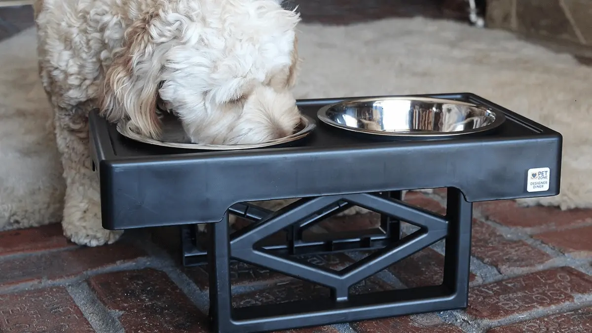 Pet Zone Adjustable Elevated Pet Feeder