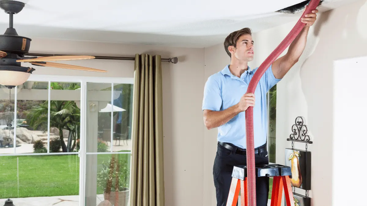 Effectively Clean Pet Dander from Your Air Ducts