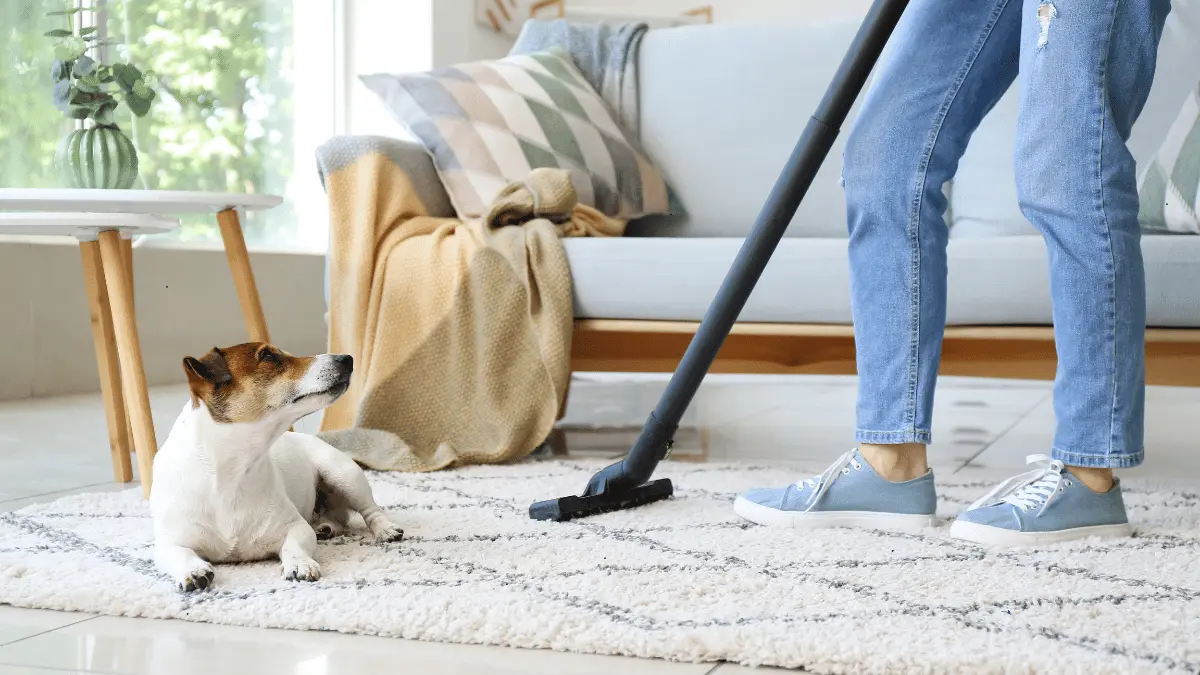 Cleaning Tips for Pet Owners