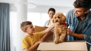 Moving with Pets