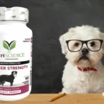 VetriScience Bladder Strength Dog UTI Treatment