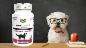 VetriScience Bladder Strength Dog UTI Treatment